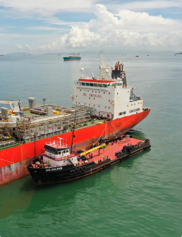 big dolphin 1 subworks